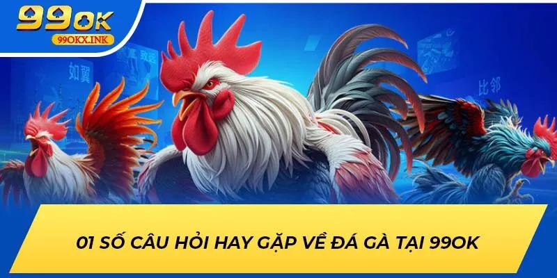 01 số câu hỏi hay gặp về đá gà tại 99OK