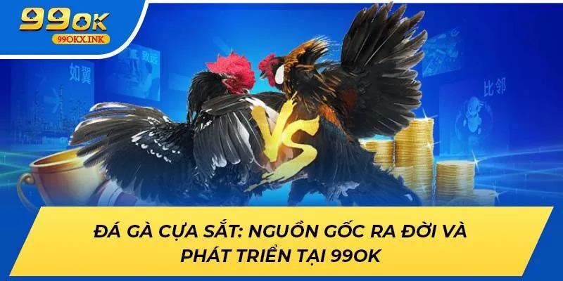 Đá Gà Cựa Sắt: Nguồn Gốc Ra Đời Và Phát Triển Tại 99ok