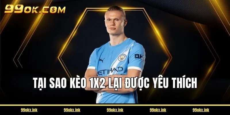 Tại sao kèo 1x2 lại được yêu thích tại giải Euro và Champions League?